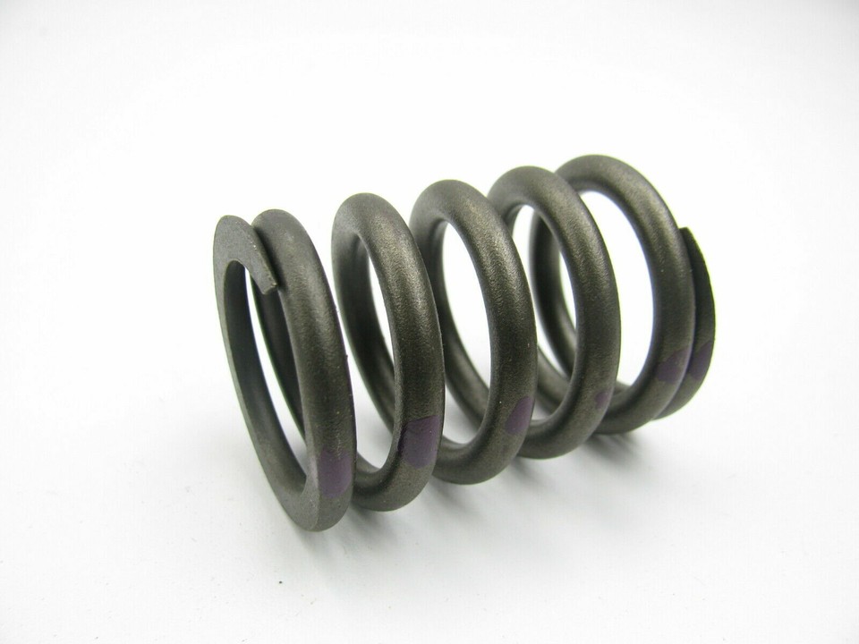 1980-2001 Ford SB 255 302 351W V8 Engine Intake+Exhaust Valve Springs ...