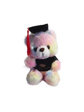    2026 Graduation Teddy Bear   Rainbow Plush Stuffed Animal