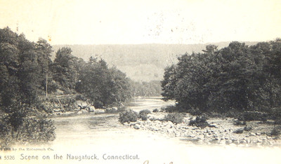 1905 SCENE ON THE NAUGATUCK RIVER CONNECTICUT POSTCARD UNDIVIDED POSTED A 5326