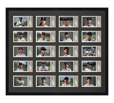 PSA Graded Card Frame Display Holds (20) Slabs Baseball, UV Protection optional