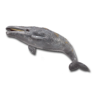 Collecta 88372 Lufengosaurus Miniature Animal Figure Toy
