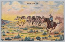 Western Cowboy Herding Wild Horses, Painting by L.H. Larsen, Postcard TS-24A
