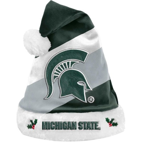 Michigan State Spartans 2019 Basic 