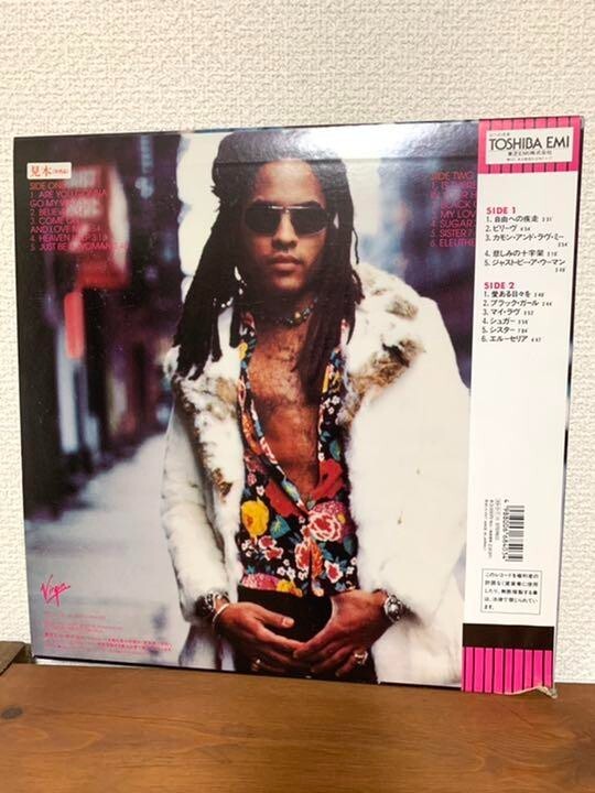 Lenny Kravitz / Are You Gonna Go My Way 12