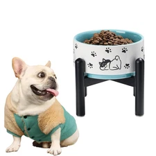 Elevated Ceramic Dog Food Bowl - Raised Feeding Bowl with Stainless Steel Sta...