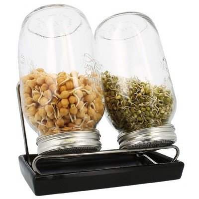 Sprossenglas Eschenfelder System II, 2x1.5l Set Keimglas Abtropfschale anthrazit