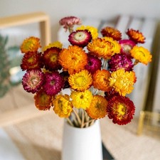 Natural Dried Daisy Flowers Bouquet - 20 Pcs Multicolor Daisies Dried Sunflow...