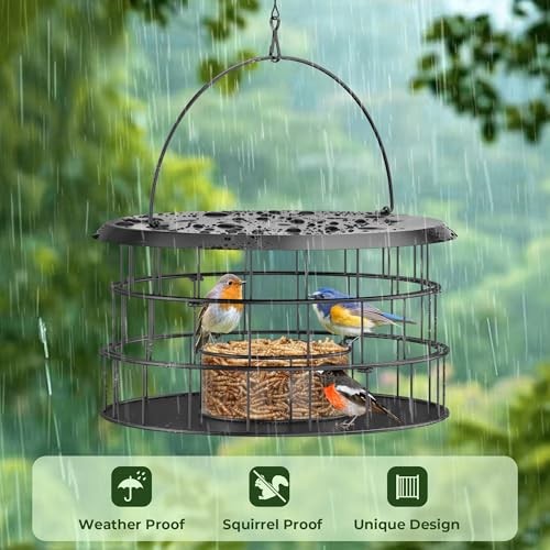 Bluebird Feeders for Outdoors Hanging - Birdfeeder Bluebird Feeder- Black