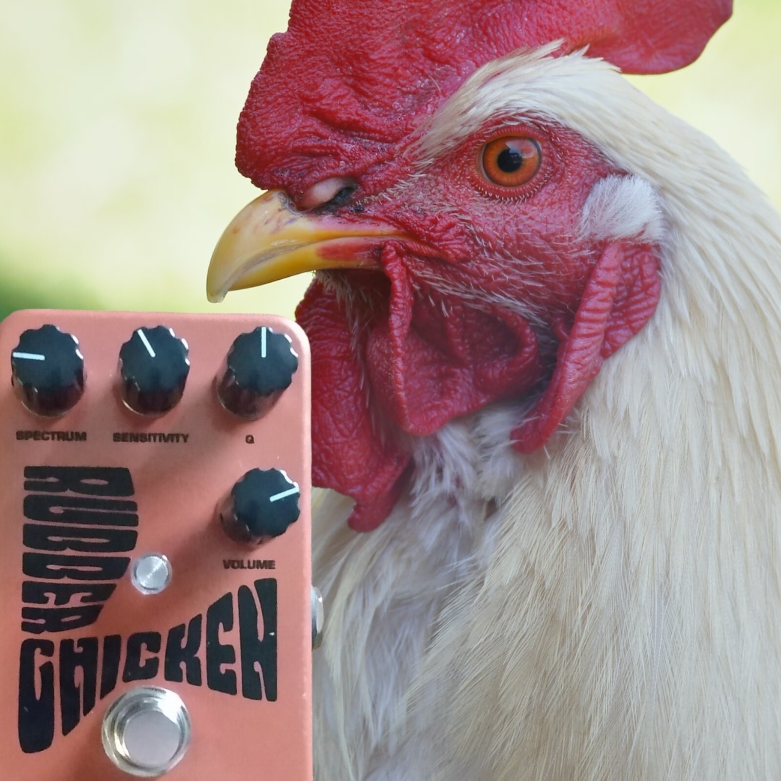 Lovepedal Rubber Chicken V2 Guitar Effects Pedal w/Box eBay