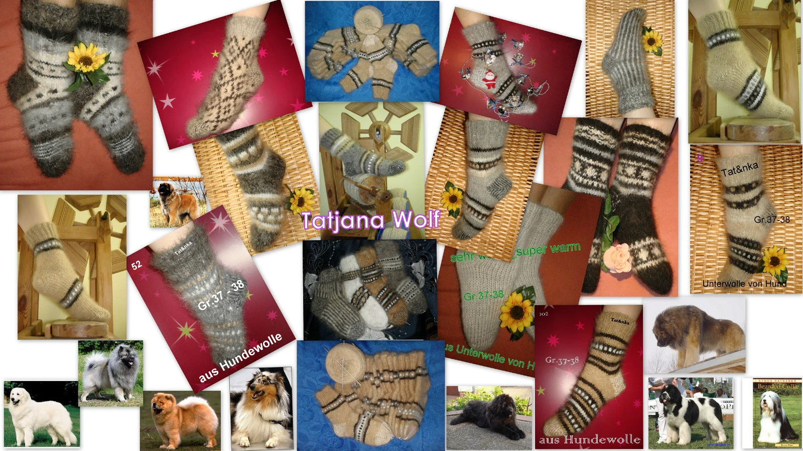 Bild 4 von 11