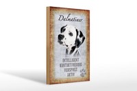 Holzschild Spruch 20X30 Cm Dalmatiner Hund Geschenk Deko Schild Wooden Sign