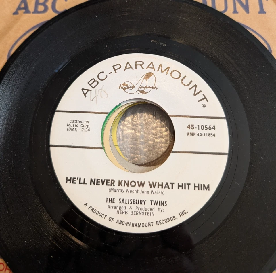 SOUL The Salisbury Twins He'll Never Know What Hit Him 1964 VG+ PROMO - Image 2 of 3