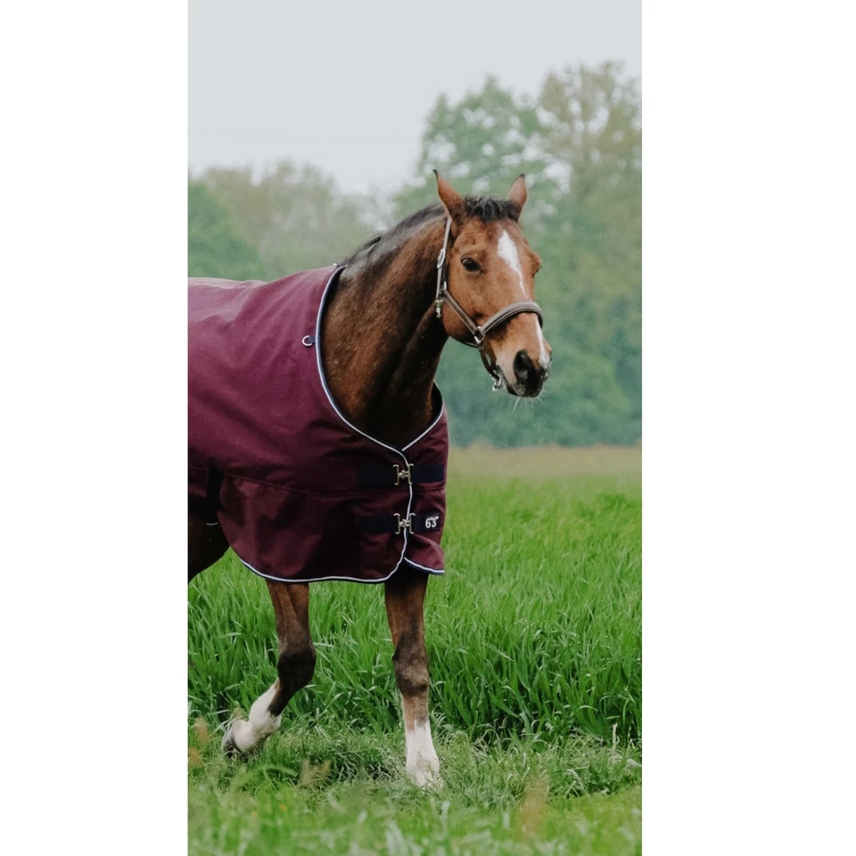 Regendecke Pferde Outdoordecke Ekkia Tyrex 1200 D 0 g bordeaux - Bild 2 von 4