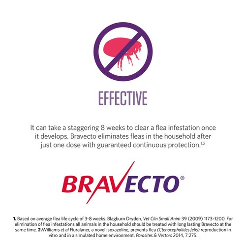 BRAVECTO Chews For Large Dogs 20-40KG Blue 2 PACKS - Picture 5 of 5