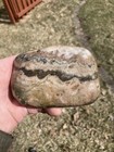 Dakota Prairie Agate. 1pound 6.80 Oz — photo 2