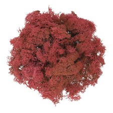 17.6oz Fake Preserved Reindeer Moss, Dark Red