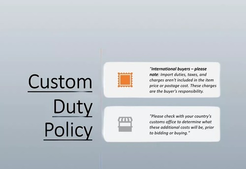 Cola ajuste ordenado para escopeta Royal Enfield 650 - Imagen 7 de 7