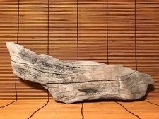 Beautiful 14" DRIFTWOOD Piece Terrarium Taxidermy Aquarium Art Reptile DECOR