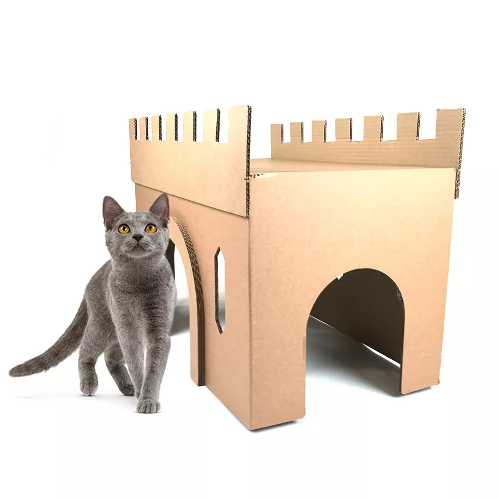 Cardboard top cat toys