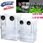 Large Breeding Aquarium Fish Tank Guppy Hatchery Breeder Rearing Isolation Box