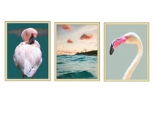 Set of 3 Flamingos, Pink Sky Photo Art Print Posters 8 x 10" Unframed Full Color
