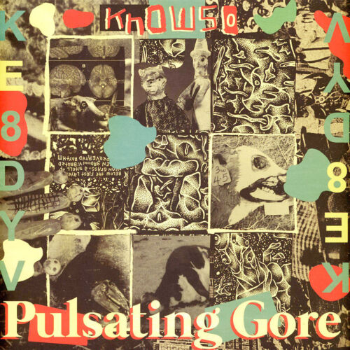 Knowso - Pulsating Gore (Vinyl LP - 2024 - Original)
