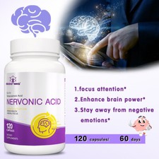 Nervonic Acid Brain Supplement Nootropic Memory Focus Nerve Support 120 Caps
