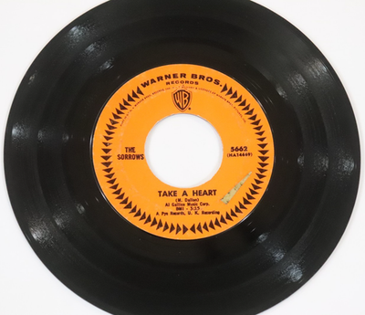 #ad SORROWS 45 Take A Heart We Should Get Along Fine WARNER WB 5662 Psych Garage $6.99