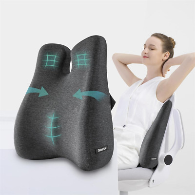 Lumbar Support Pillow for Back Pain Relief - Memory Foam Back Support Cushion   