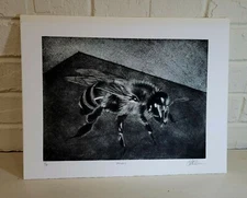 LARGE HONEY BUMBLE BEE Original MEZZOTINT Signed Numbered. Listed Artist