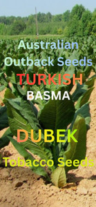 Tobacco Seeds