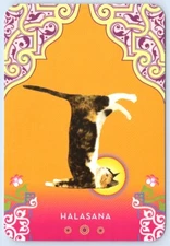 Postcard Halasana Plow Pose Yoga Cat