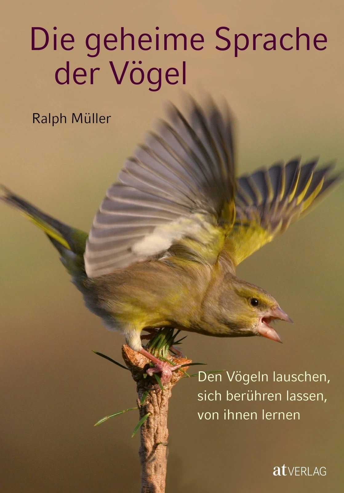 Bild 1 von 1