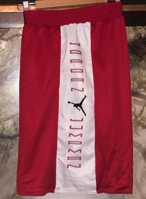 jordan 11 reversible shorts