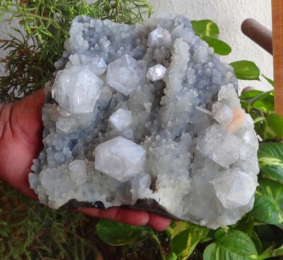 Apophyllit Stilbit Auf Chalcedony Mineralien Probe Bo = 7