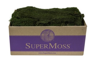 SuperMoss (21559) Sheet Moss   Flat Moss for Plants, Terrariums, Wedding D