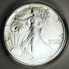 1991 American Silver Eagle 1 oz .999 Fine Silver Coin - Brilliant Uncirculated