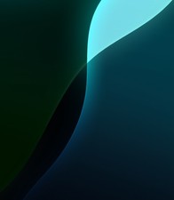 2 TS 1/4 To 1/4 Patch Cables 2 Ft Mono Right Angle To Right Angle