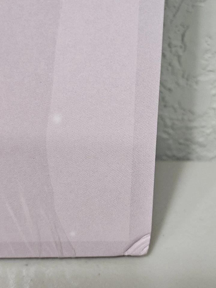 Taylor Momsen's THE PRETTY RECKLESS CHRISTMAS Red Vinyl SIGNED Insert - Image 4 of 4