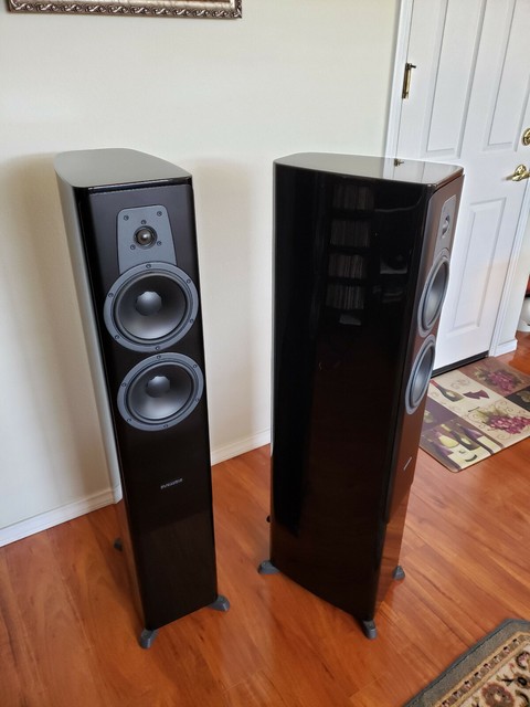 dynaudio contour for sale