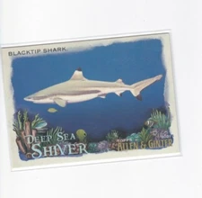 BLACKTIP SHARK 2021 ALLEN & GINTER DEEP SEA SHIVER INSERT CARD-SHIPS FREE
