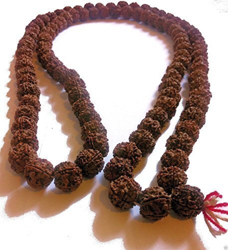 10mm LARGE BODHI SEED NUT MALA MANTRA PRAYER BEADS Buddhist monk