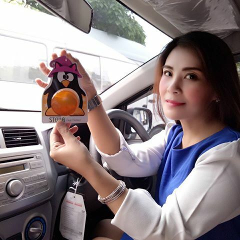 Stella Daily Freshness Concentrate Perfume Car Air Purifier Odour Purple Dream - Bild 5 von 5
