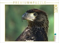 Calvendo Puzzle Birds Of Prey - African Fish Eagle | 1000 Pieces, Finished Size