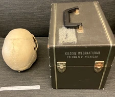BOX Kilgore Medical Anatomical Model no skull coldwater human anatomy