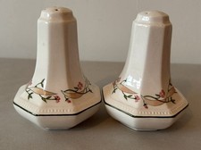Johnson Brothers Eternal Beau Vintage Salt & Pepper Cruet Set