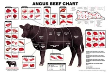 Angus Beef Chart Meat Cuts Diagram Poster 24x36 USA Seller Beef Poster