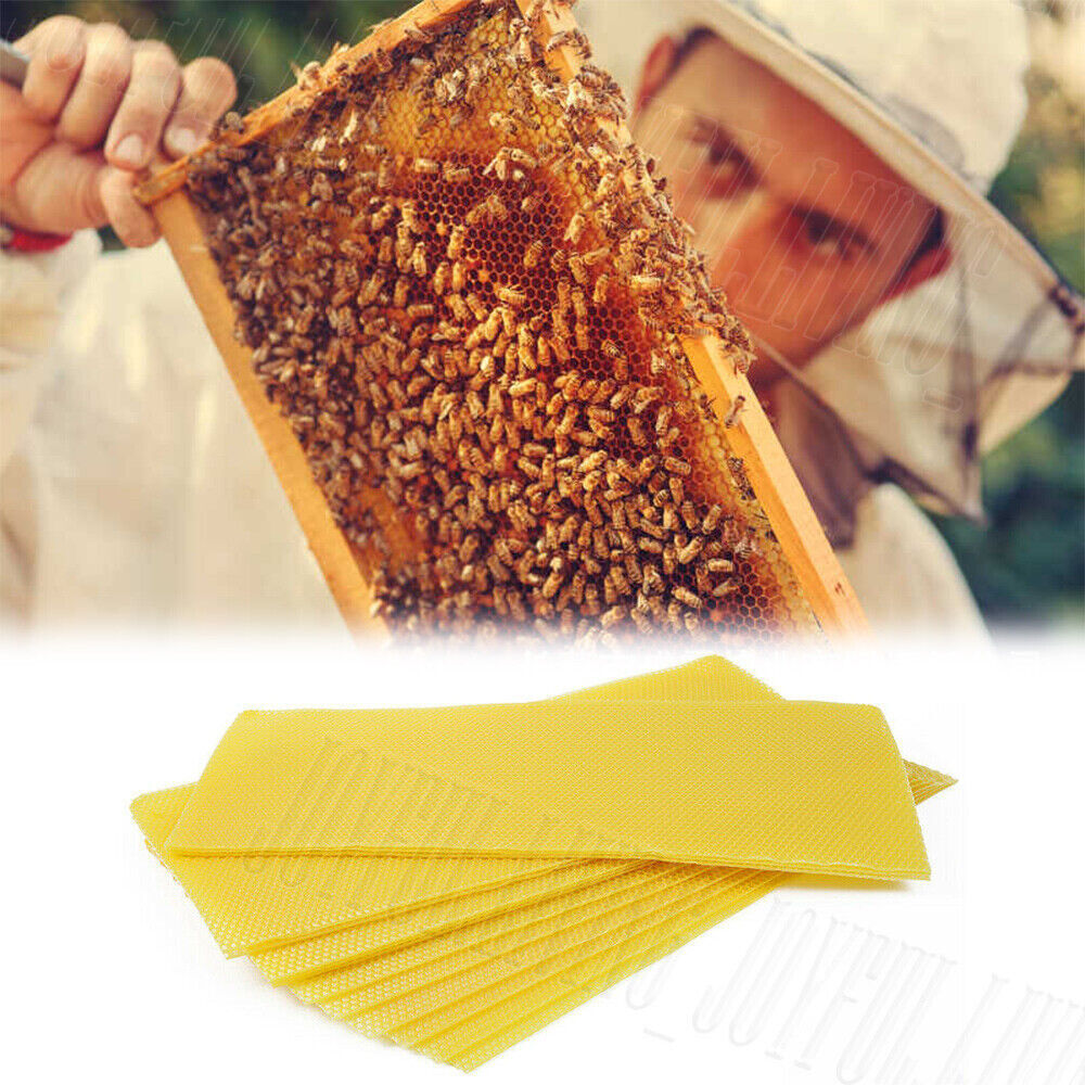 30Pcs Foundation Bee Hive Wax Frames Waxing Beekeeping