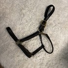 Horse Size Brown Leather Padded Halter