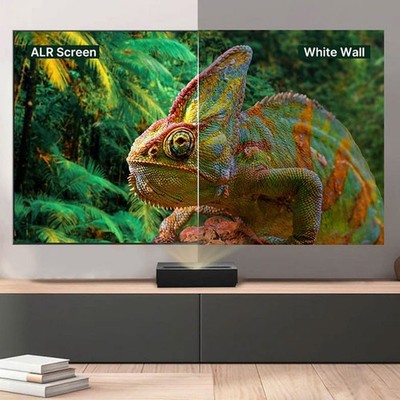 Hisense 100'' DLT100-E ALR Fresnel Projection Screen Only